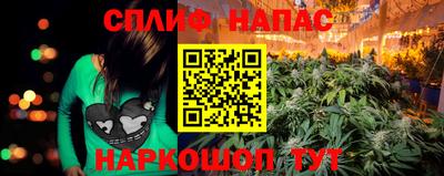 стафф Берёзовский