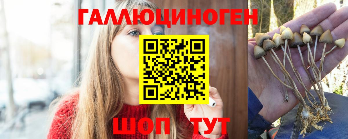 Псилоцибиновые грибы MAGIC MUSHROOMS  Вход с VPN  купить наркоту  Когалым 